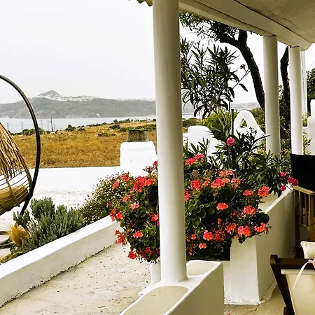 Errika's Sweet 3* Provatas